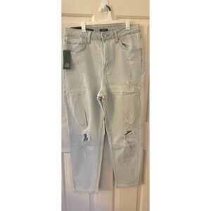 Wild Fable Mom jeans